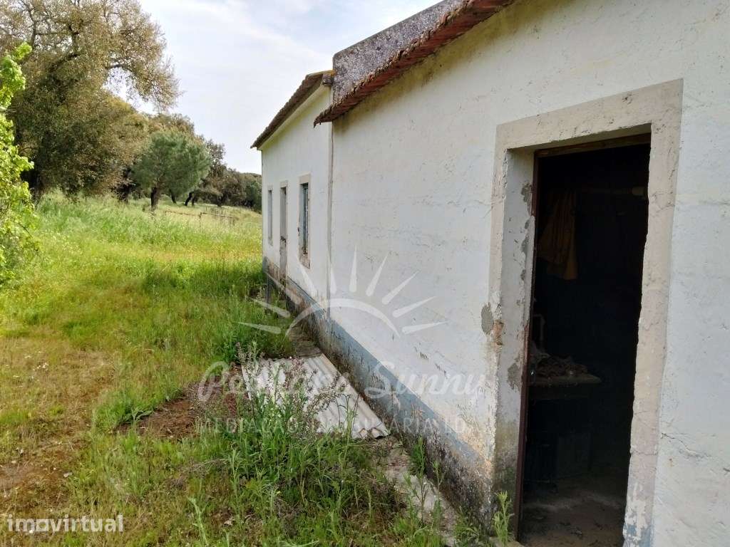 Quinta para recuperar - Grândola - Grande imagem: 2/25
