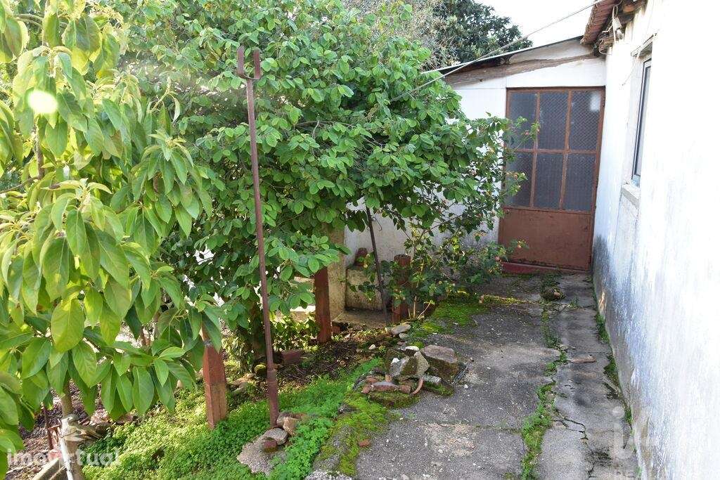 Moradia térrea T2 em Chamusca e Pinheiro Grande - Grande imagem: 3/40