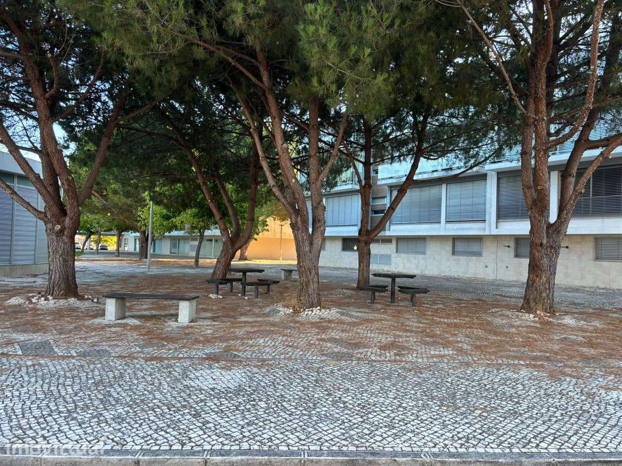 Apartamento T3 com Garagem e Arrecadação em Santo António da Charneca - Grande imagem: 5/25