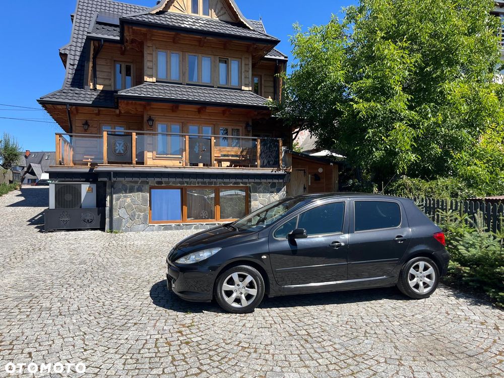 Peugeot 307 - 7