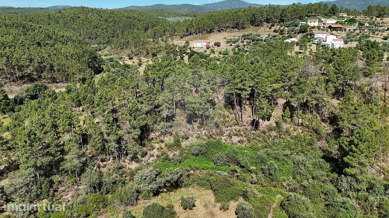 Terreno  para venda - Grande imagem: 3/10