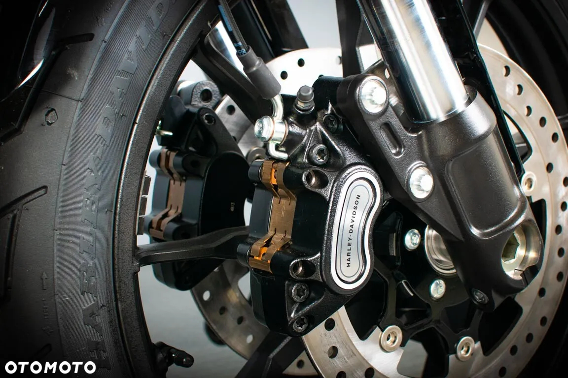 Harley-Davidson Softail - 15