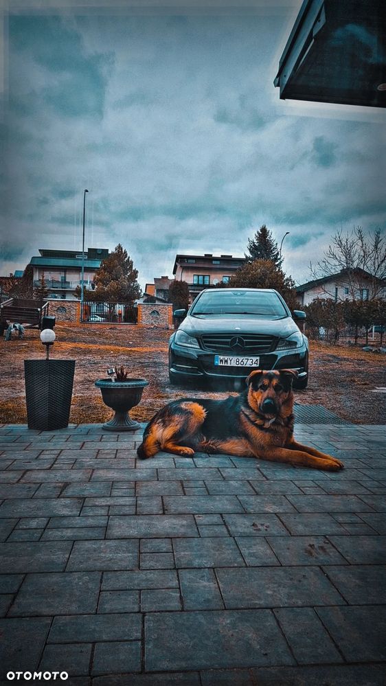 Mercedes-Benz Klasa C - 12