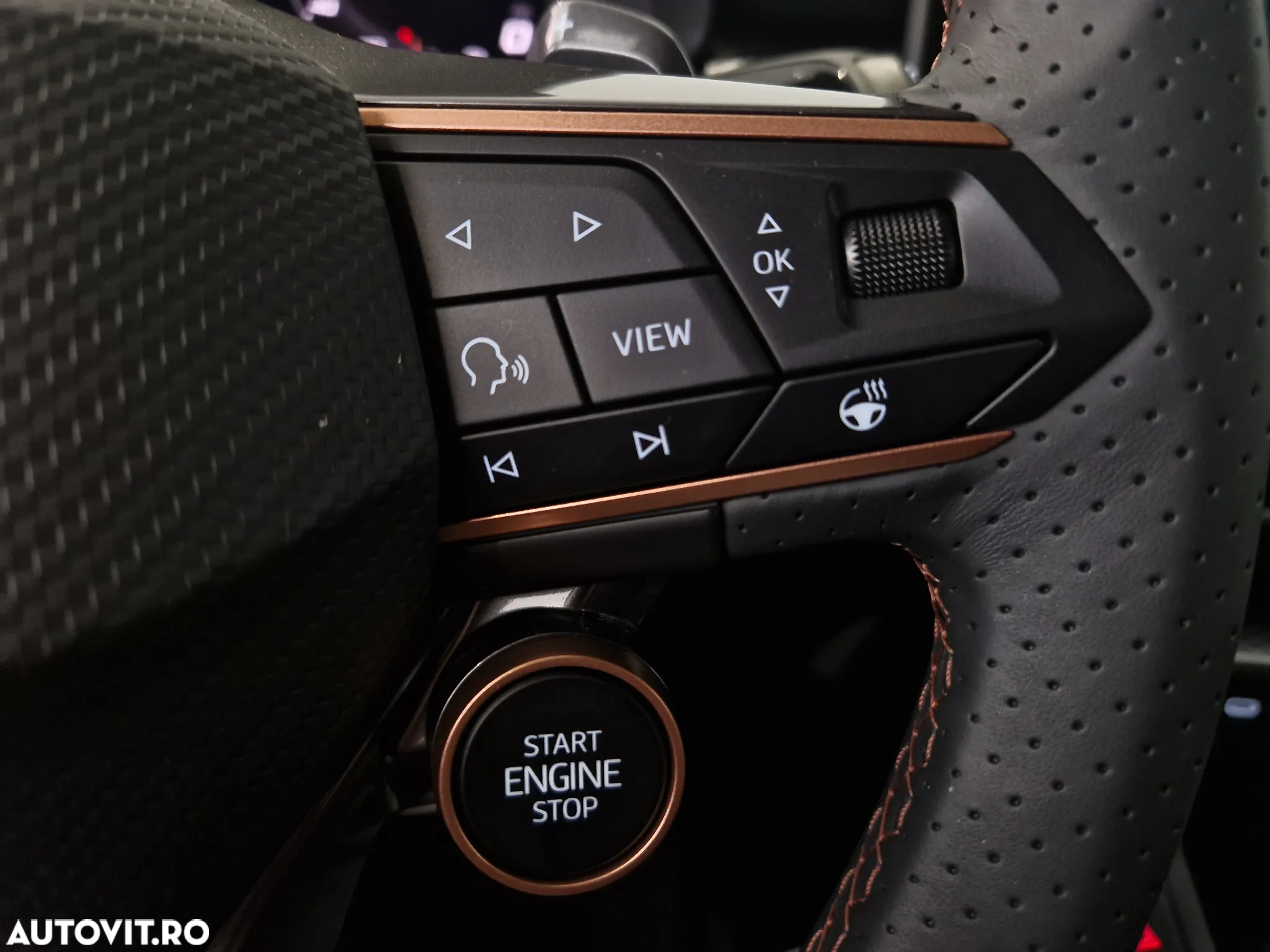Cupra Terramar - 19