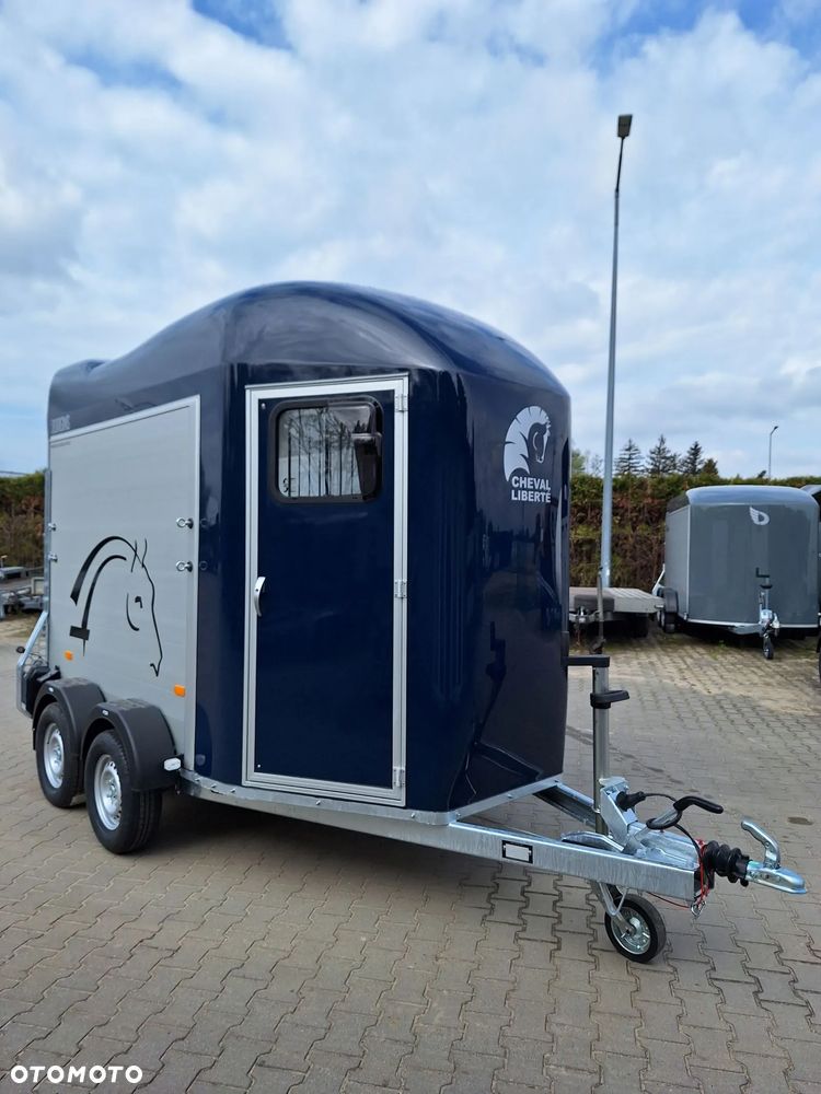 Cheval Liberte Gold Origin Debon - 5