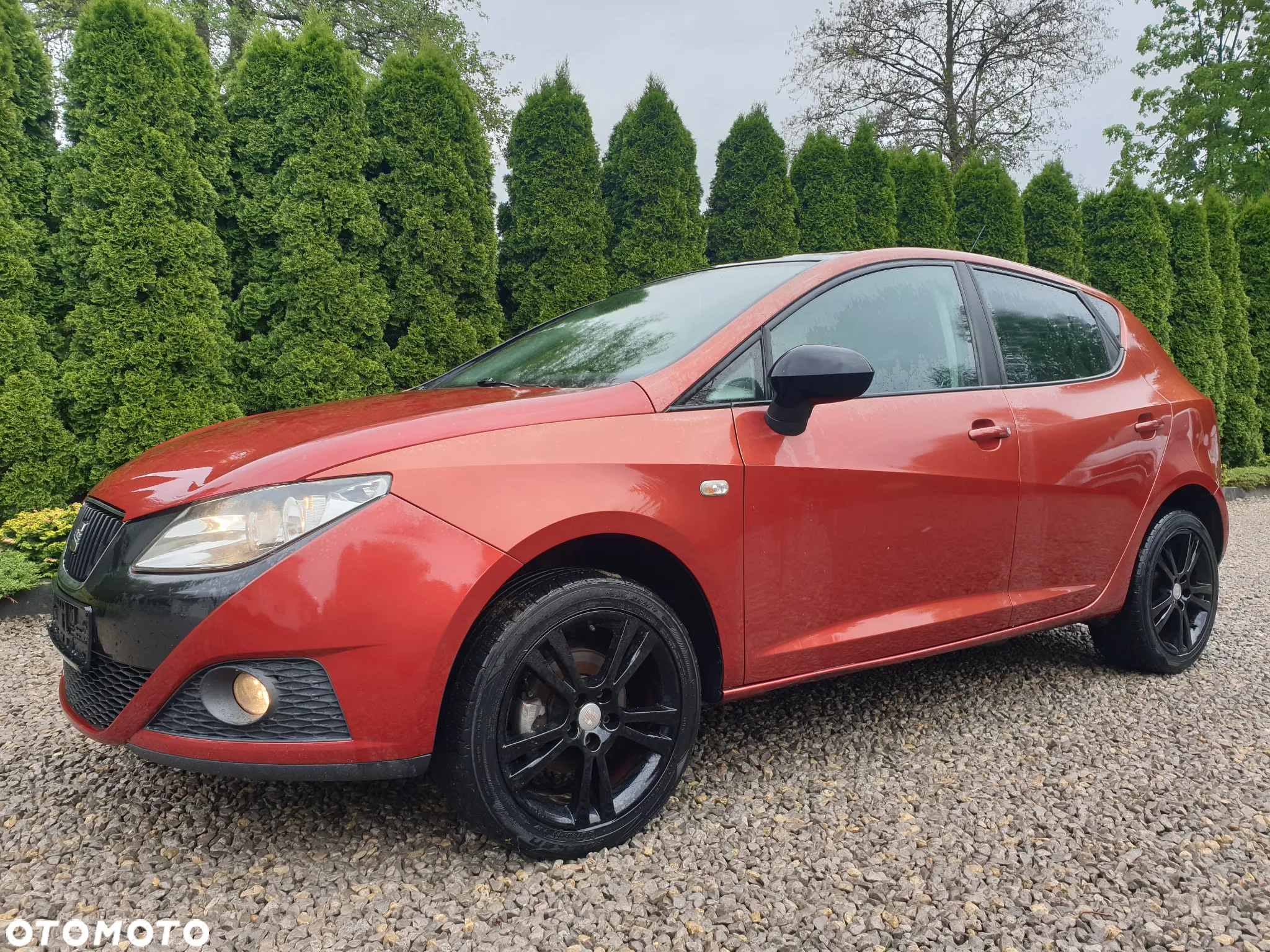 Seat Ibiza 1.6 16V Sport Edition - 5