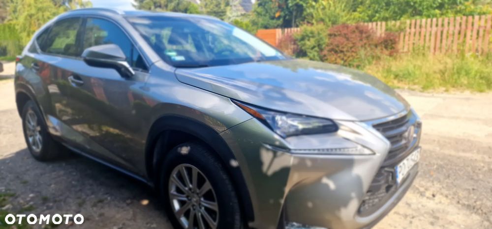 Lexus NX 300h Elite AWD - 22