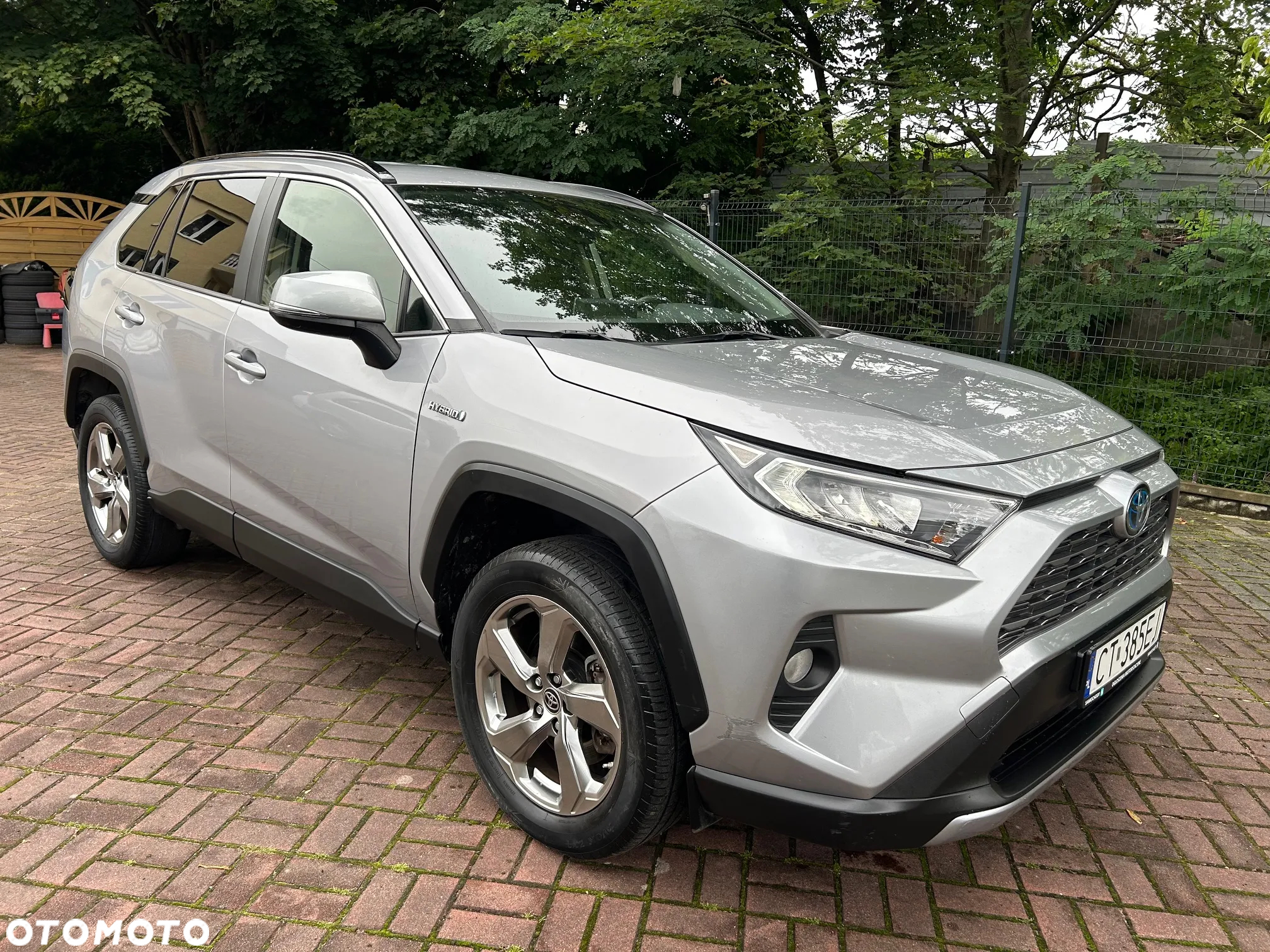 Toyota RAV4 2.5 Hybrid Executive 4x2 - 25