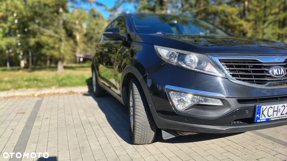 Kia Sportage - 29
