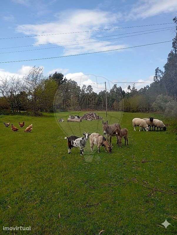 Terreno  para venda - Grande imagem: 2/8