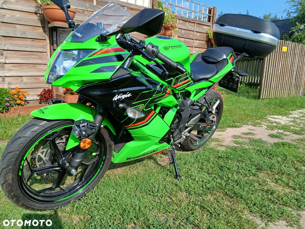Kawasaki Ninja - 1