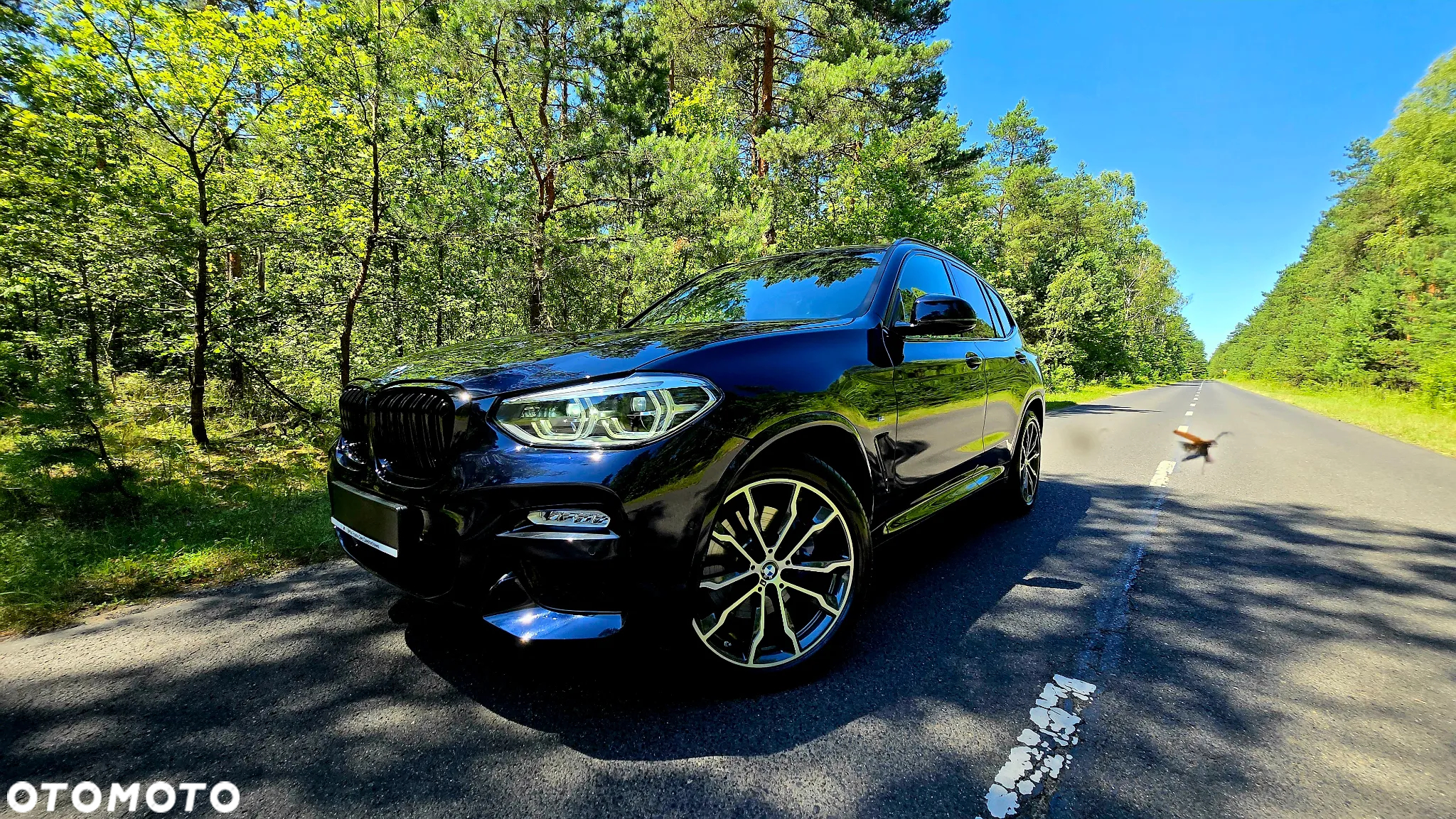 BMW X3 xDrive20d M Sport sport - 4
