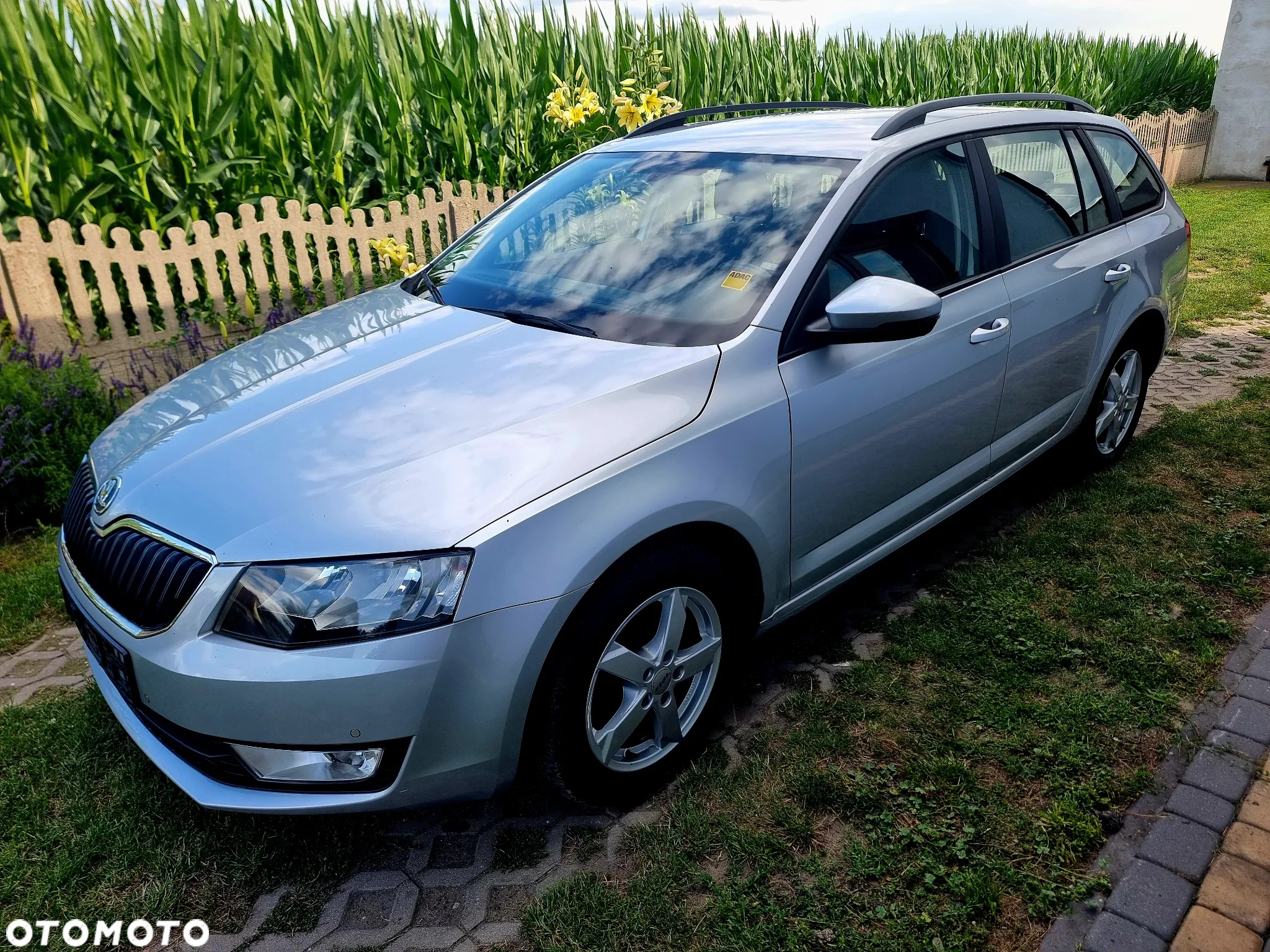 Skoda Octavia - 11