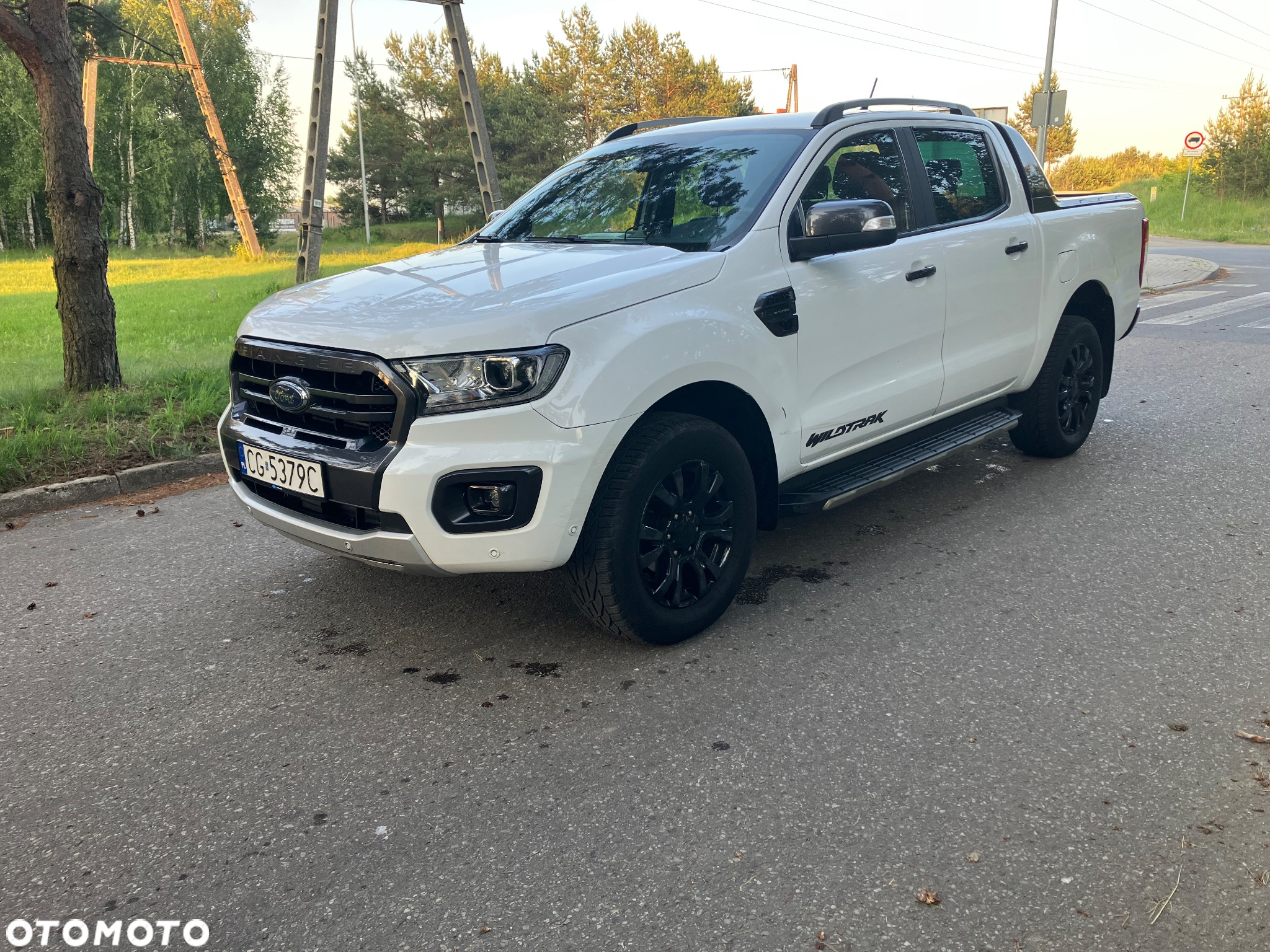 Ford Ranger 2.0 EcoBlue 4x4 DC Wildtrak - 2