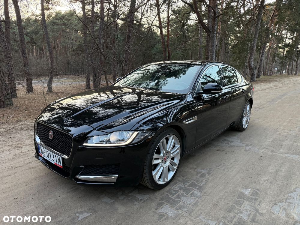 Jaguar XF 3.0 TDV6 Portfolio - 12