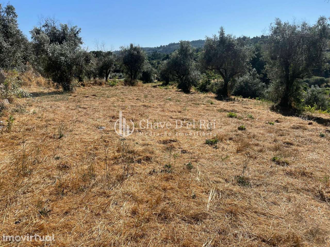 Terreno  Venda em Santar e Moreira,Nelas - Grande imagem: 4/18