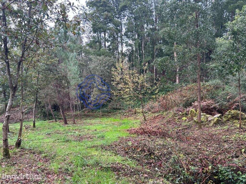 Terreno, Ganfei, Valença - Grande imagem: 5/18