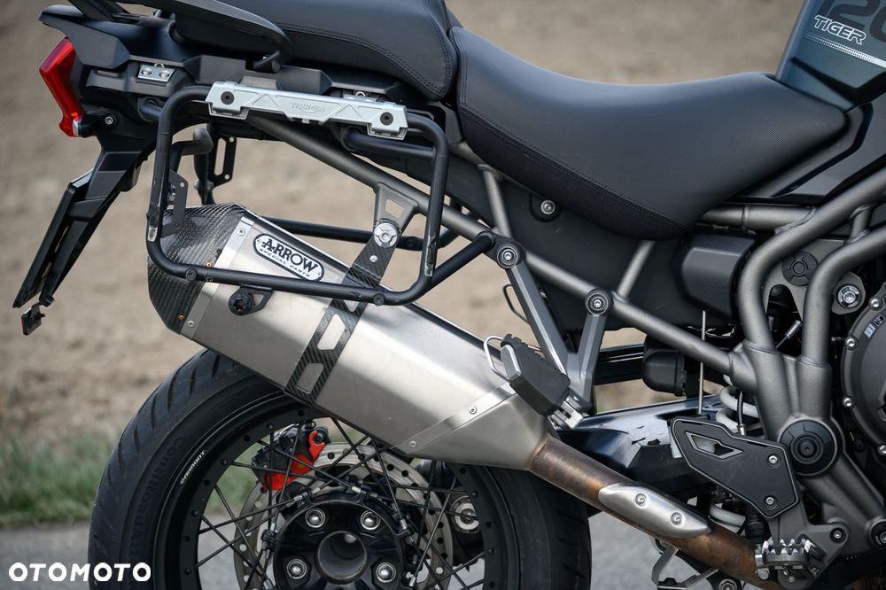 Triumph Tiger - 20