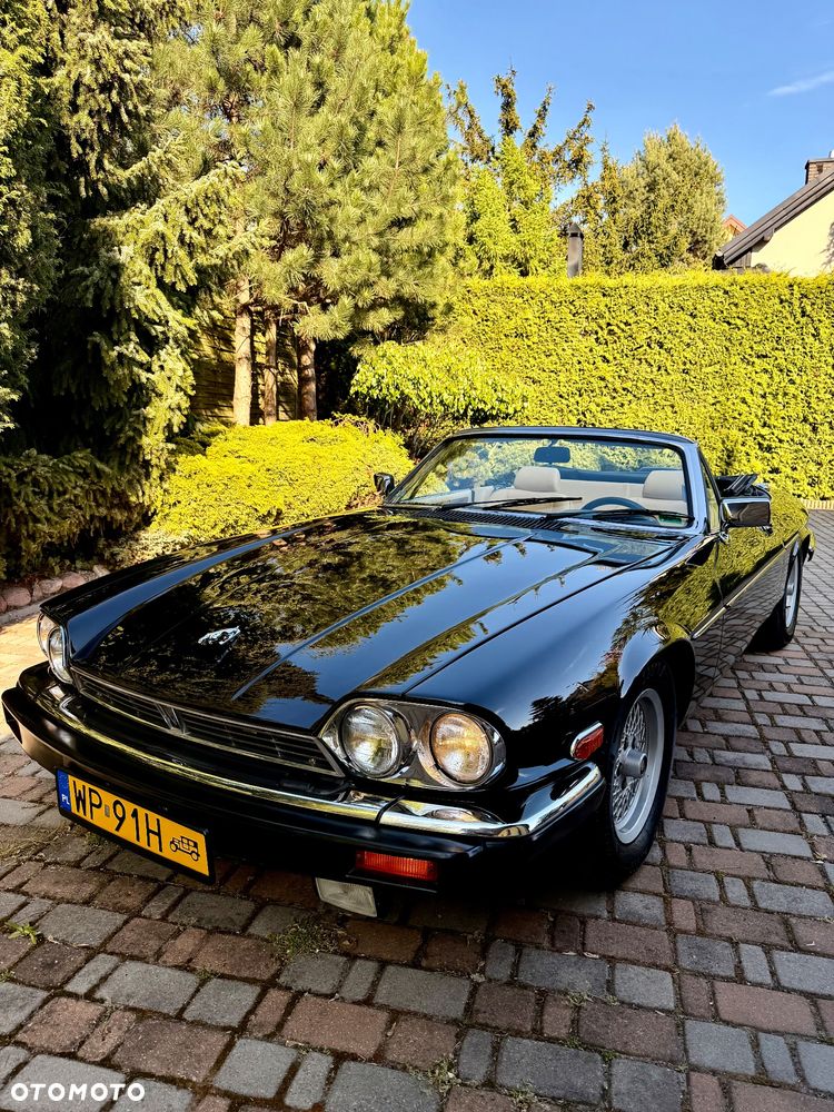Jaguar XJS - 1