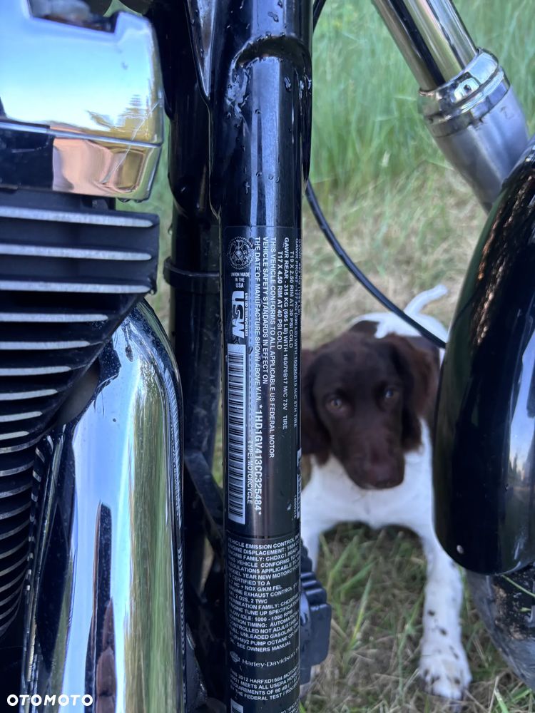 Harley-Davidson Dyna Super Glide - 2