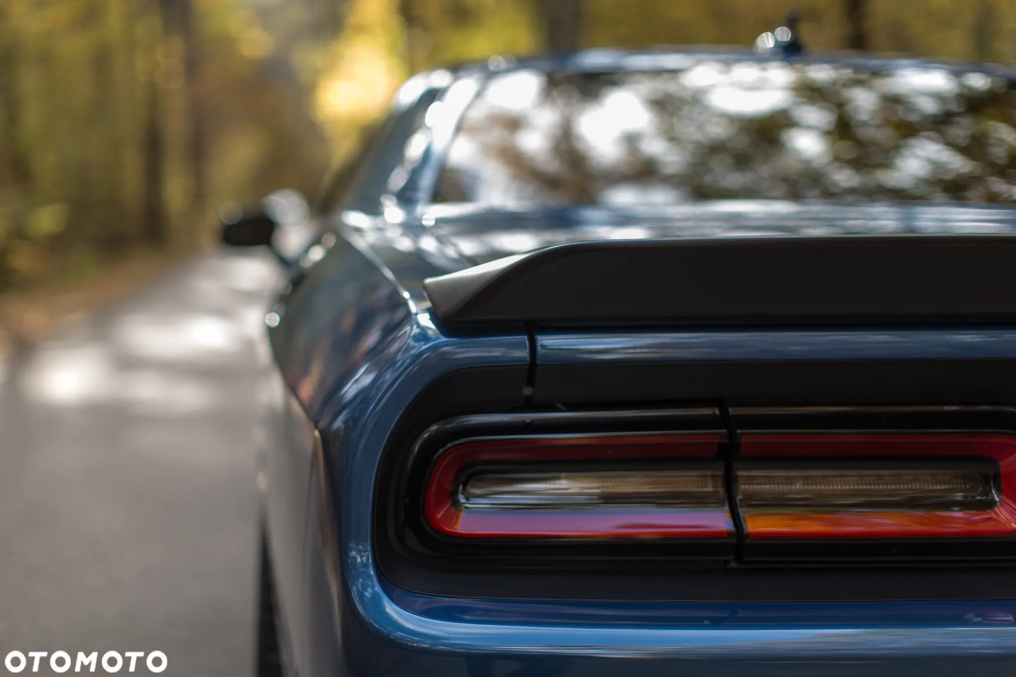 Dodge Challenger - 14