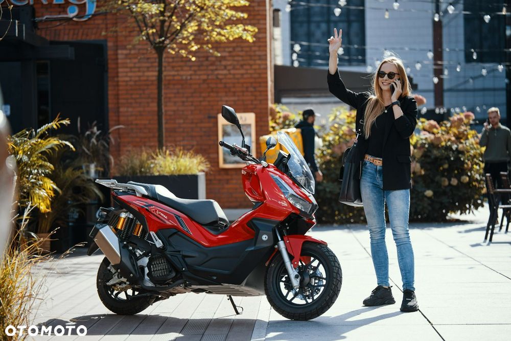 Barton X-Trail - 2