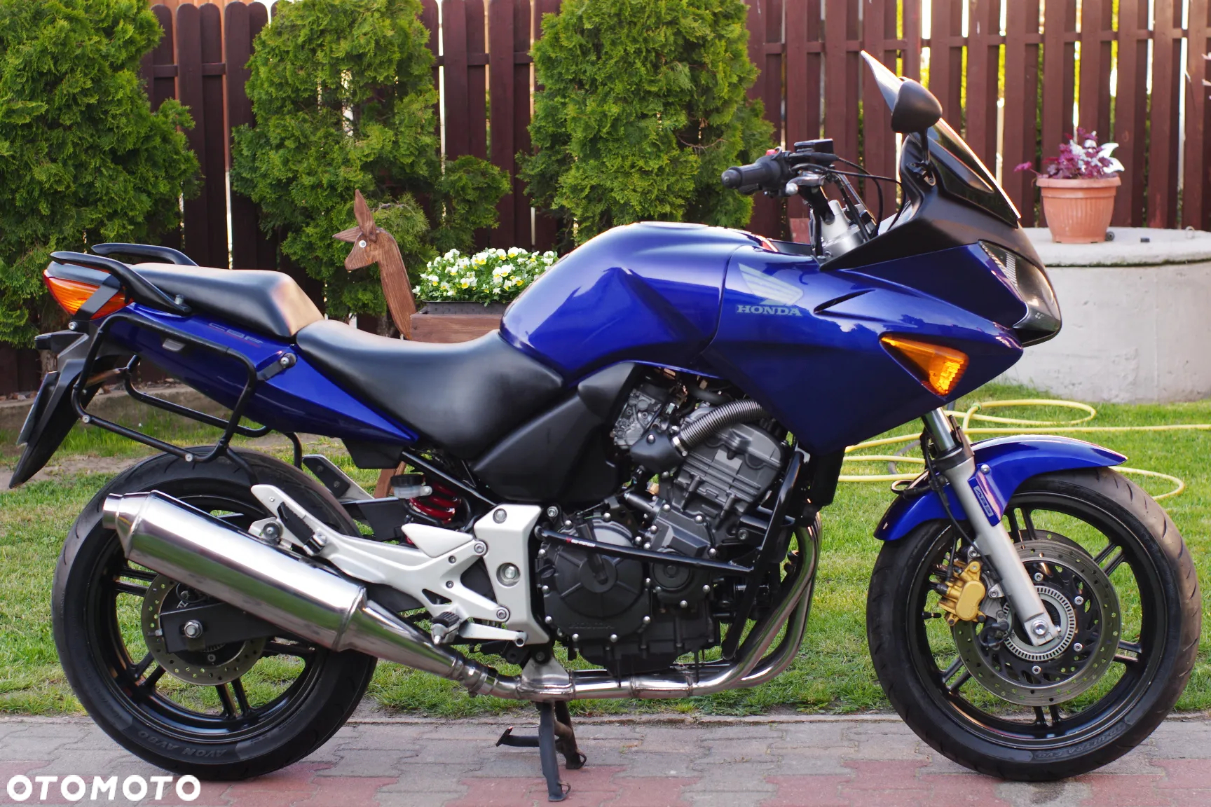Honda Hornet - 2