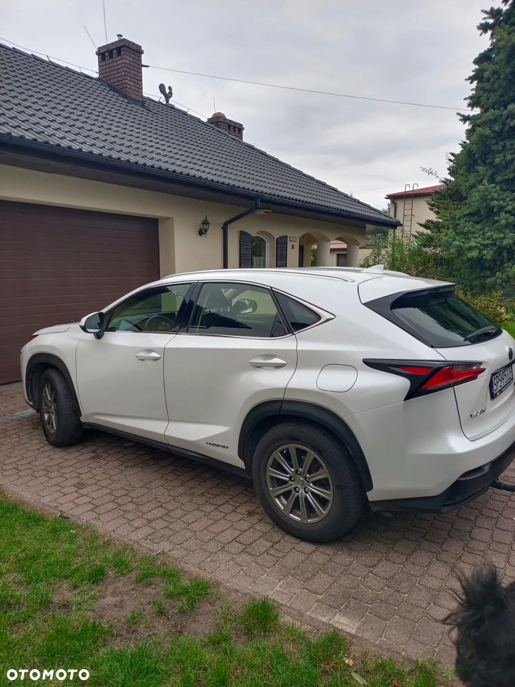 Lexus NX 300h - 4