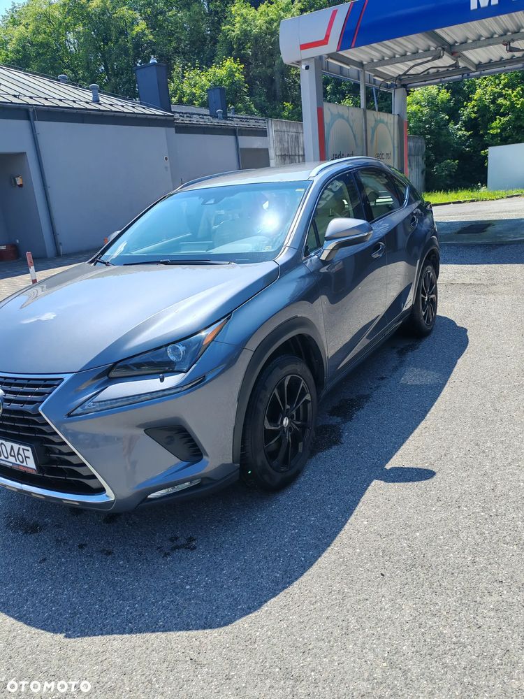 Lexus NX 300h Business Edition AWD - 13