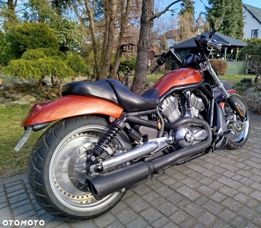 Harley-Davidson Softail V-Rod - 3