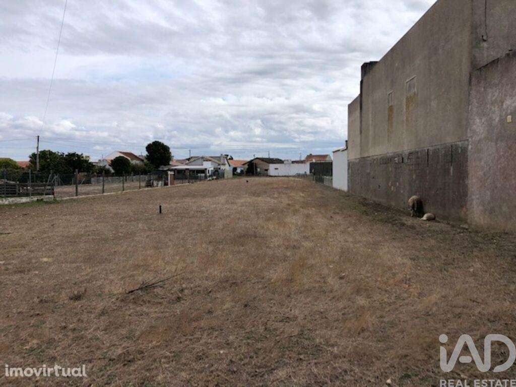 Terreno para construção em Monte Real e Carvide de 2160,00 m2 - Grande imagem: 2/17