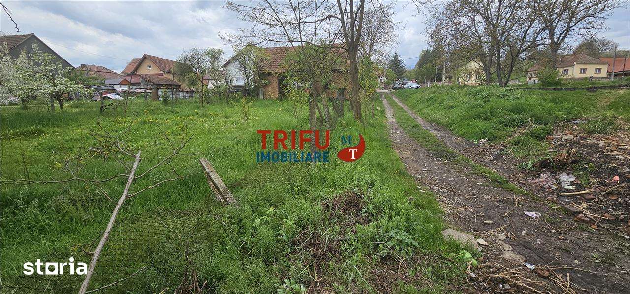Casă veche + teren 3100 mp | Galda de Jos | Acces râu - Imagine principală: 2/9