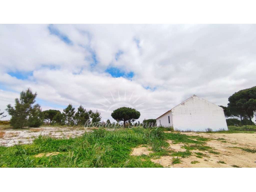 Terreno com casa para reabilitar - Grande imagem: 3/35