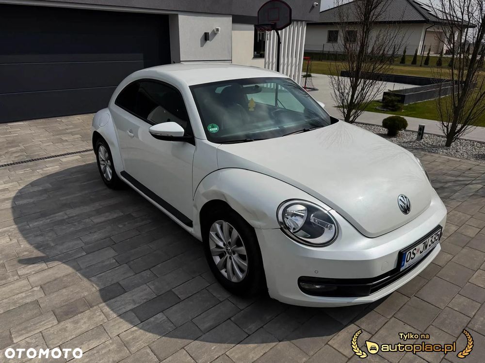 Volkswagen Beetle - 14