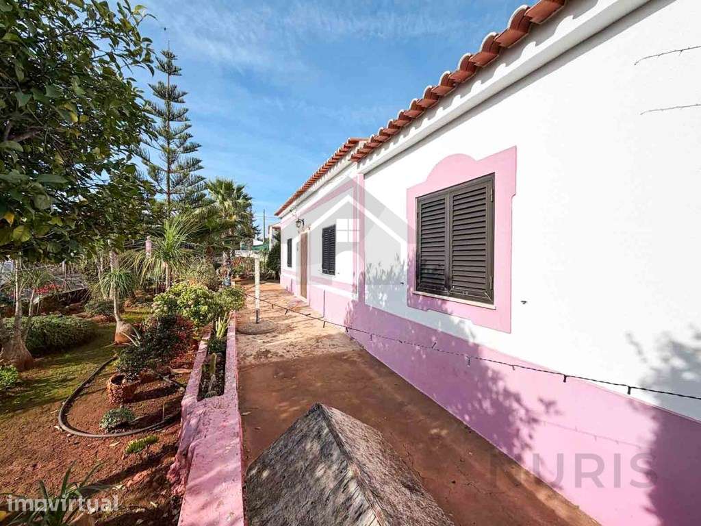 Quinta T3 com 10000 m² de Terreno para venda em Tufos - Silves - Grande imagem: 4/33