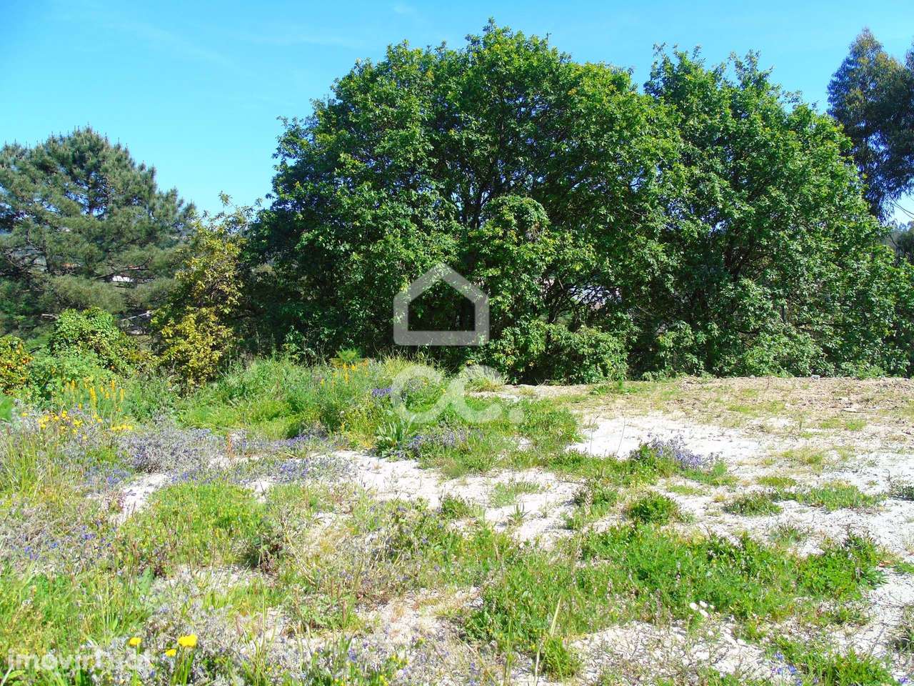 Terreno de construção - Delães - Grande imagem: 2/5