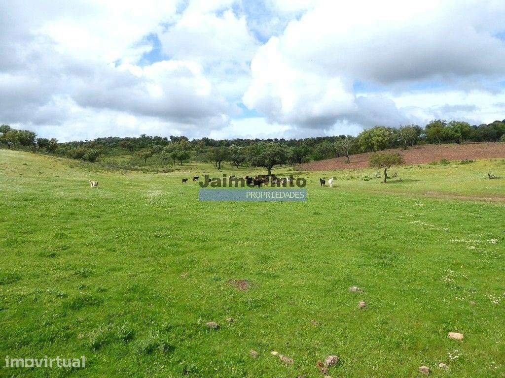 3.500.000m2 Herdade próxima Alqueva. Portugal, Évora, Portel. - Grande imagem: 2/9