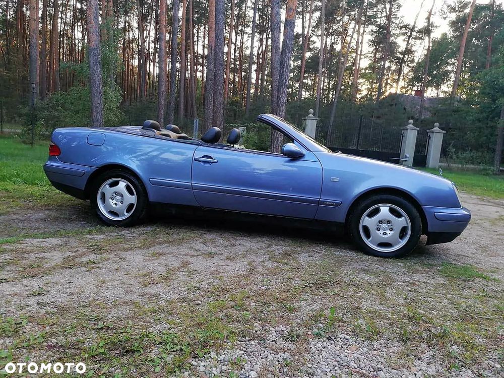 Mercedes-Benz CLK - 15