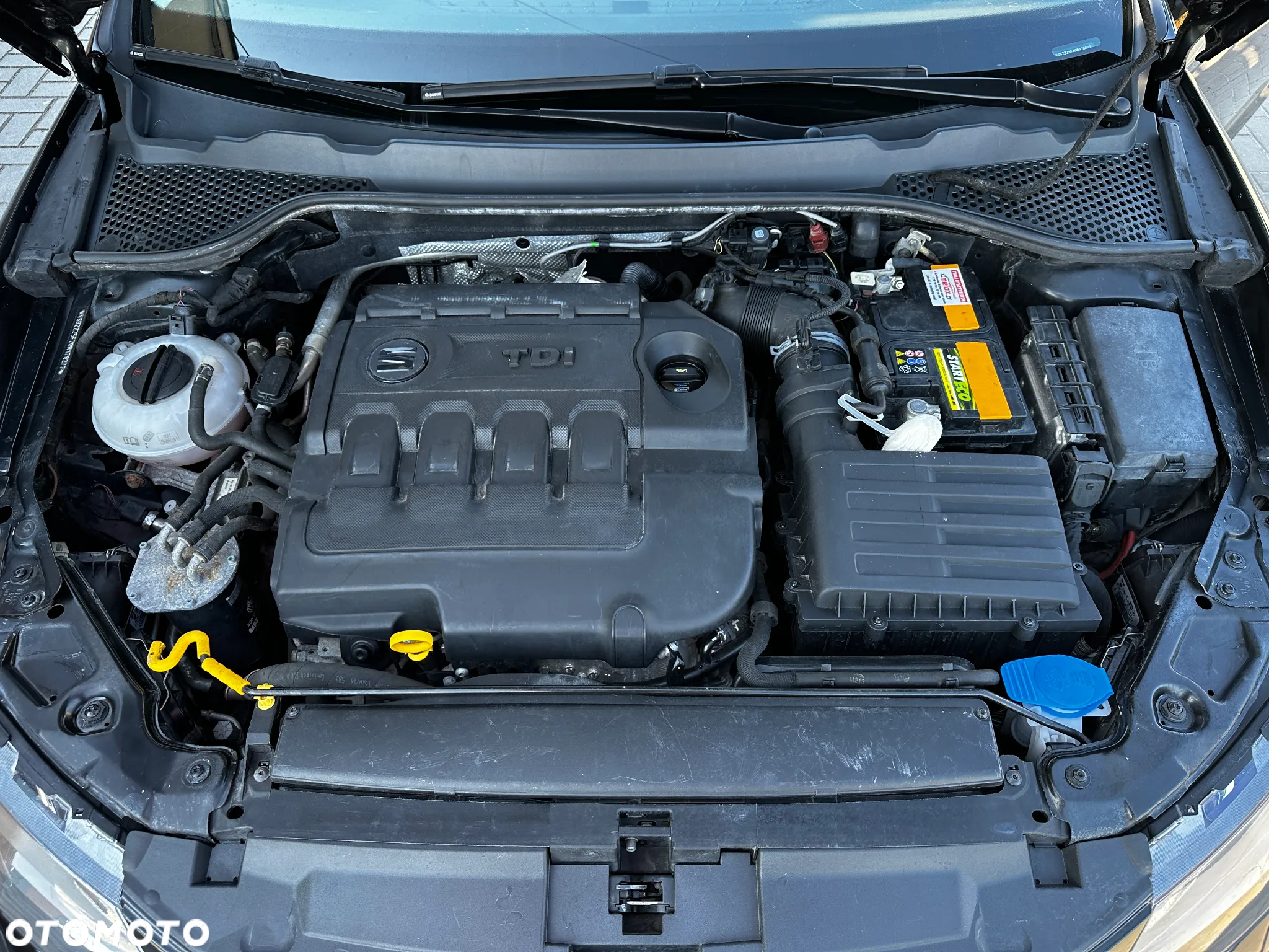 Seat Leon - 31