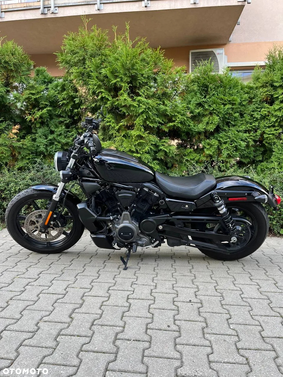 Harley-Davidson Sportster Nightster 975 - 11