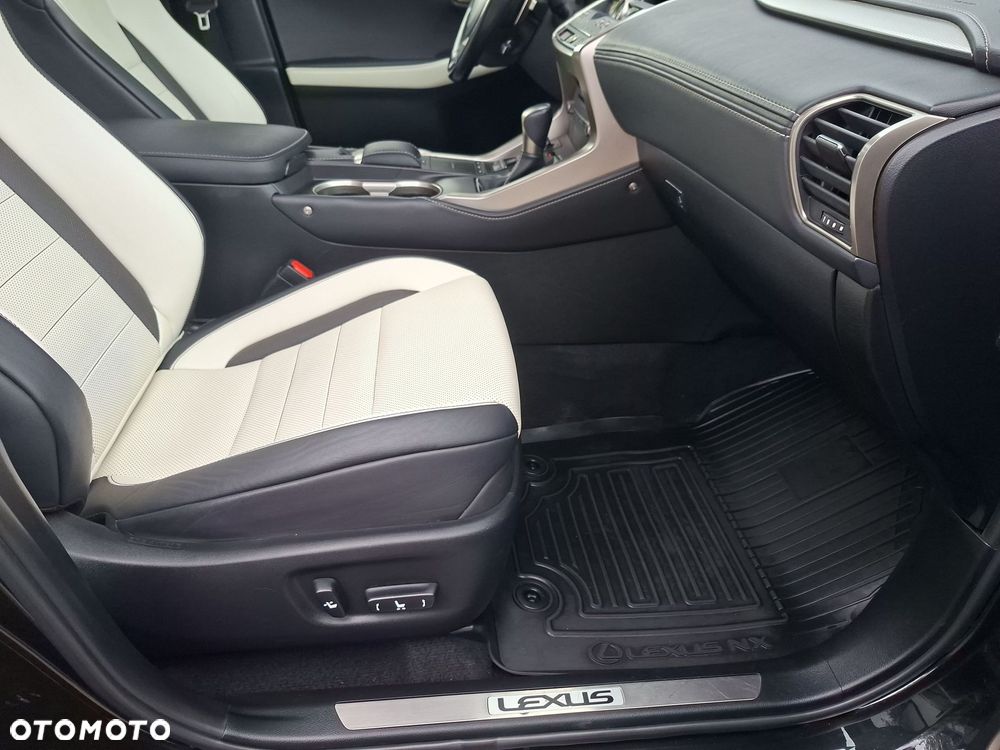 Lexus NX 300 GPF F Sport AWD - 19