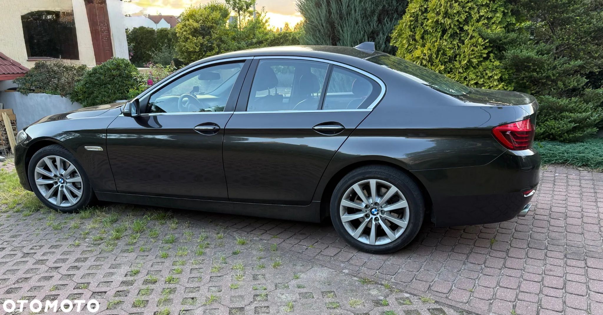 BMW Seria 5 - 1