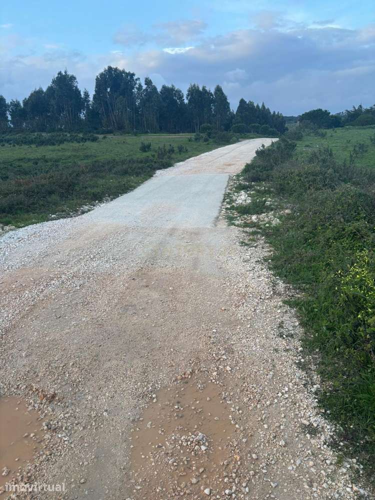33,6 Hectares de Natureza na Costa Vicentina | Privacidade Absoluta a - Grande imagem: 5/21