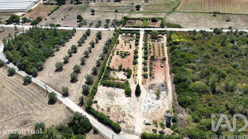 Terreno Agrícola em Azambujeira e Malaqueijo - Grande imagem: 3/40