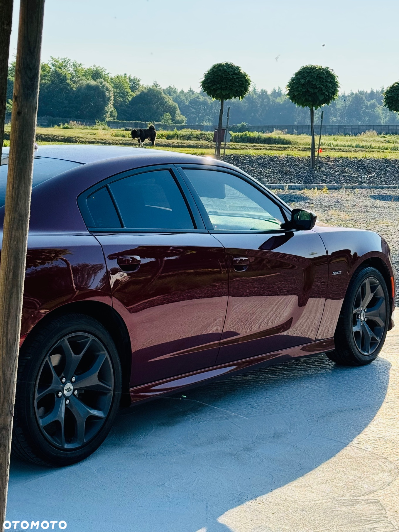 Dodge Charger 5.7 R/T - 3
