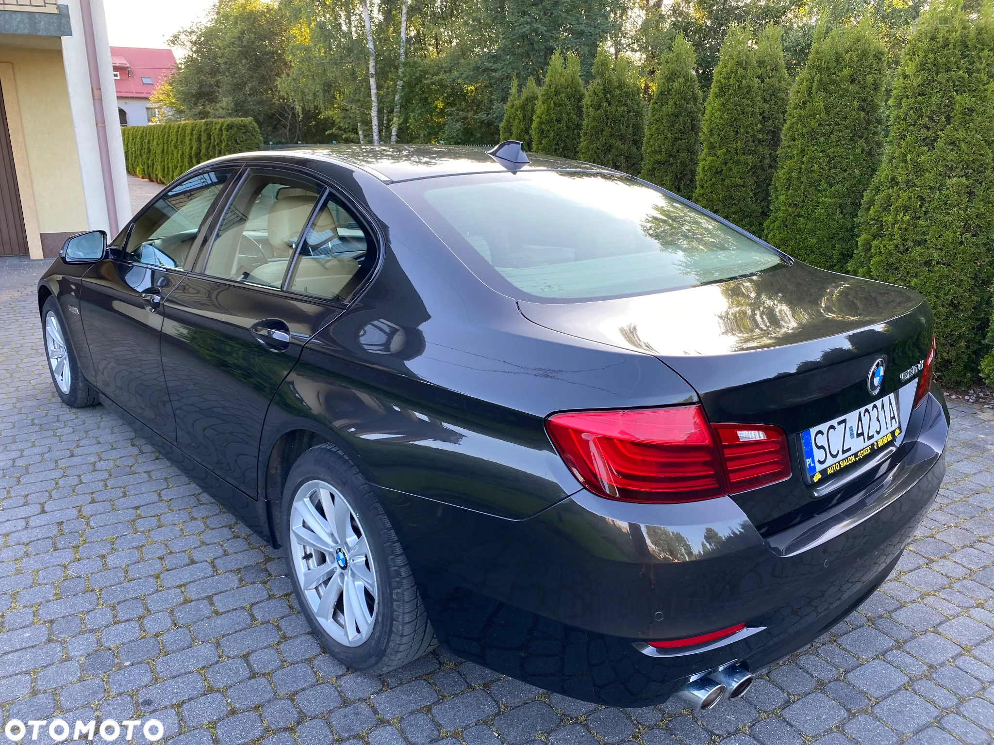 BMW Seria 5 520d - 11