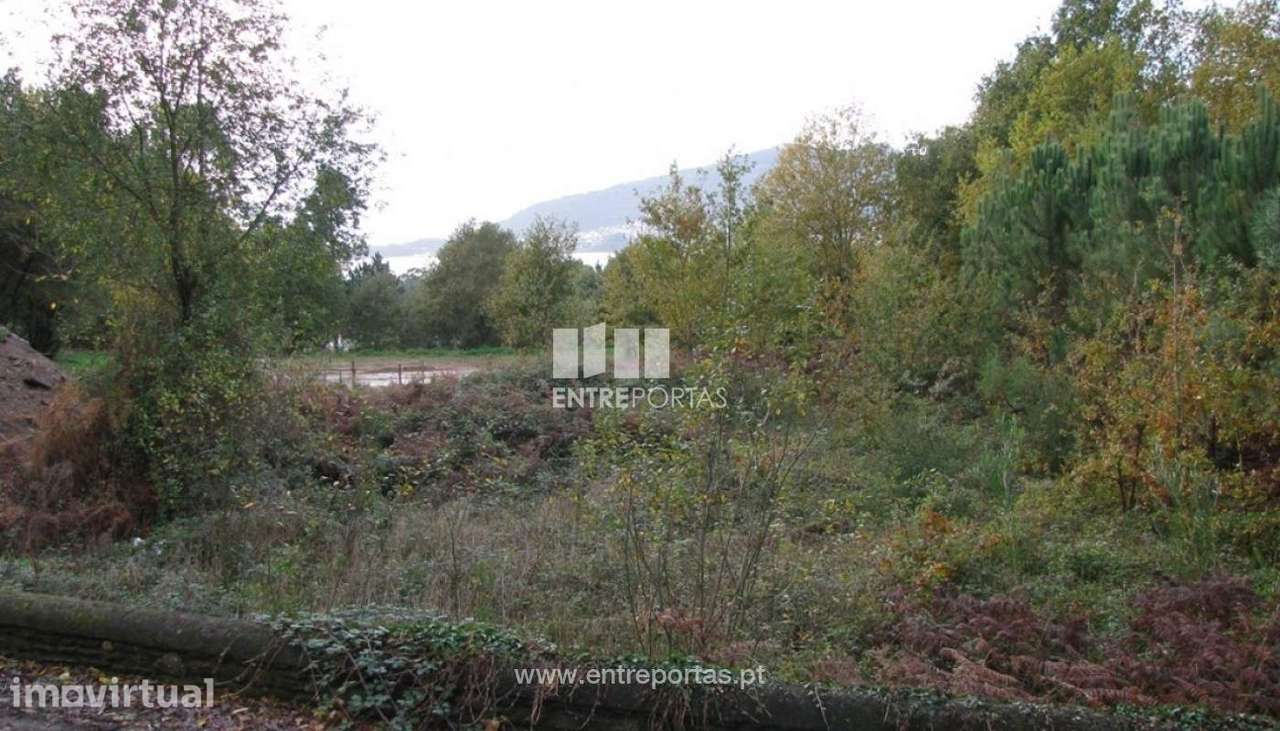 Terreno para construção, Seixas, Caminha - Grande imagem: 3/6