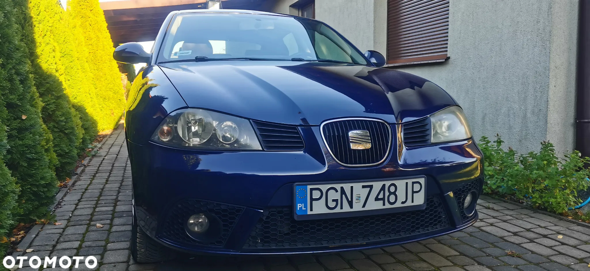 Seat Ibiza - 2