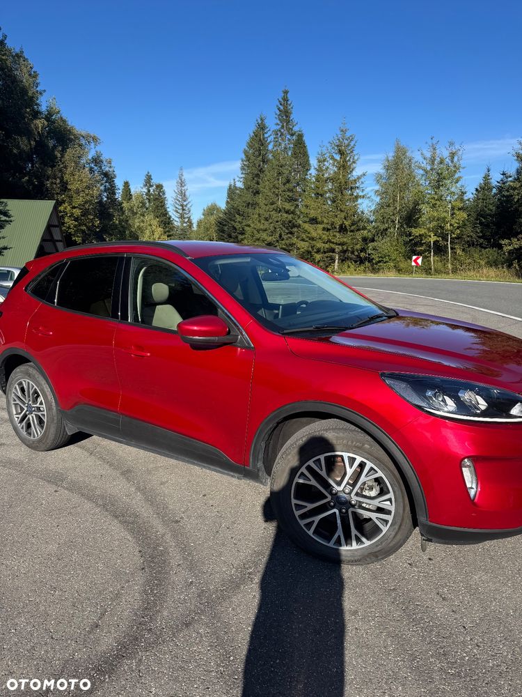 Ford Escape 1.5 EcoBoost AWD SE - 3