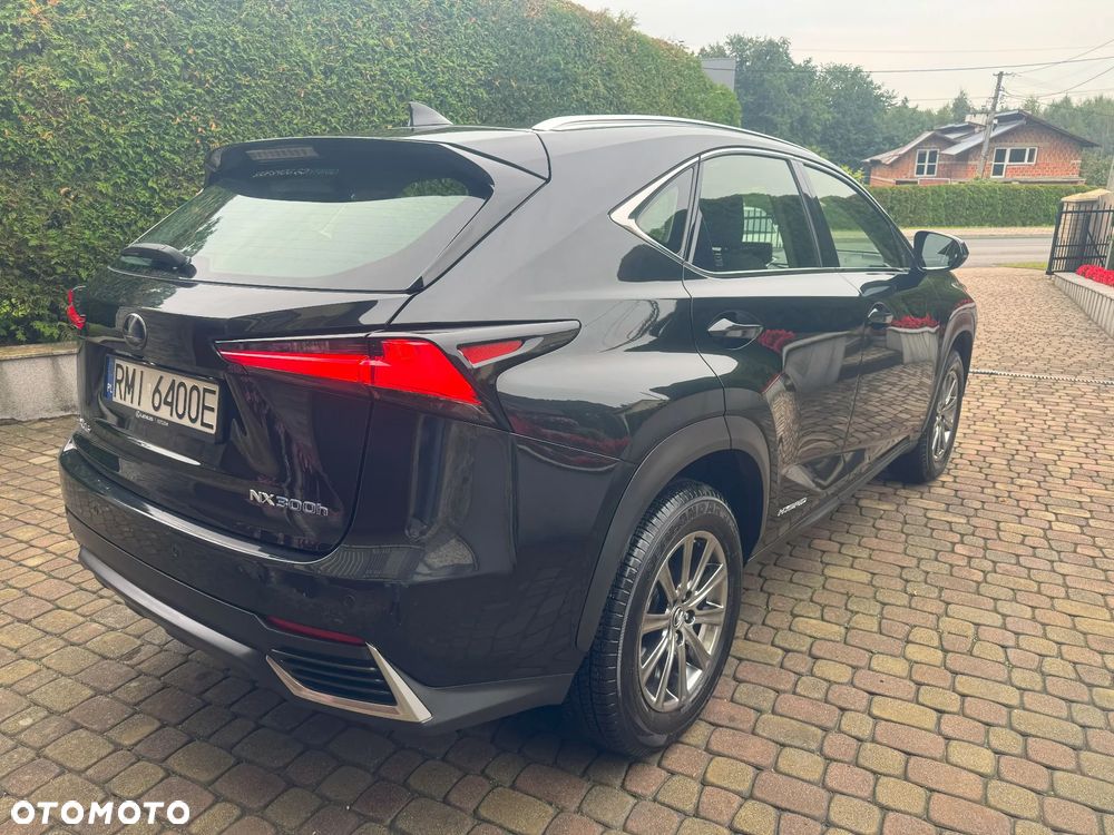 Lexus NX 350h Business AWD - 5
